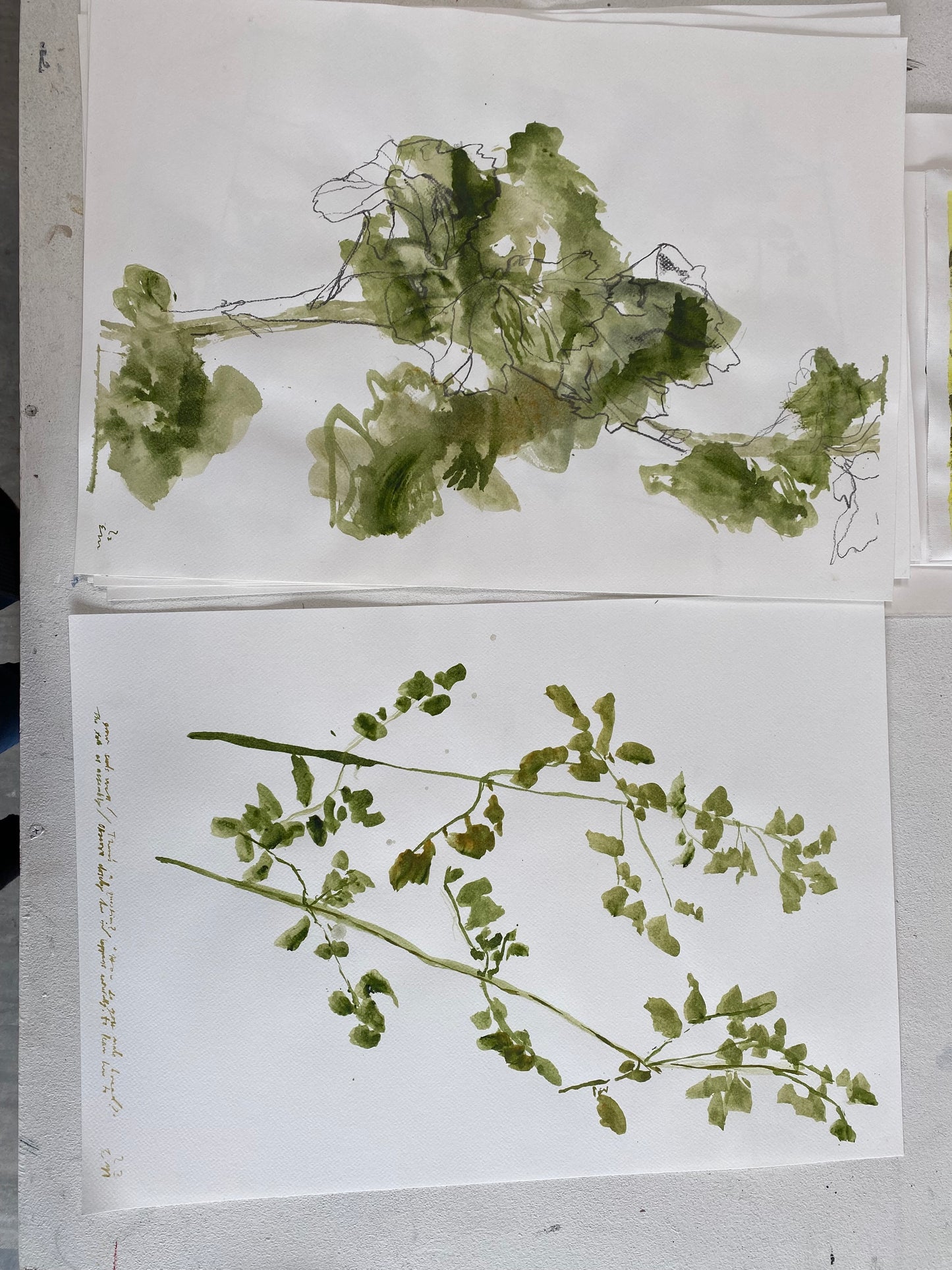 The talk:  Grow seeds well / How do you make bread (framed)