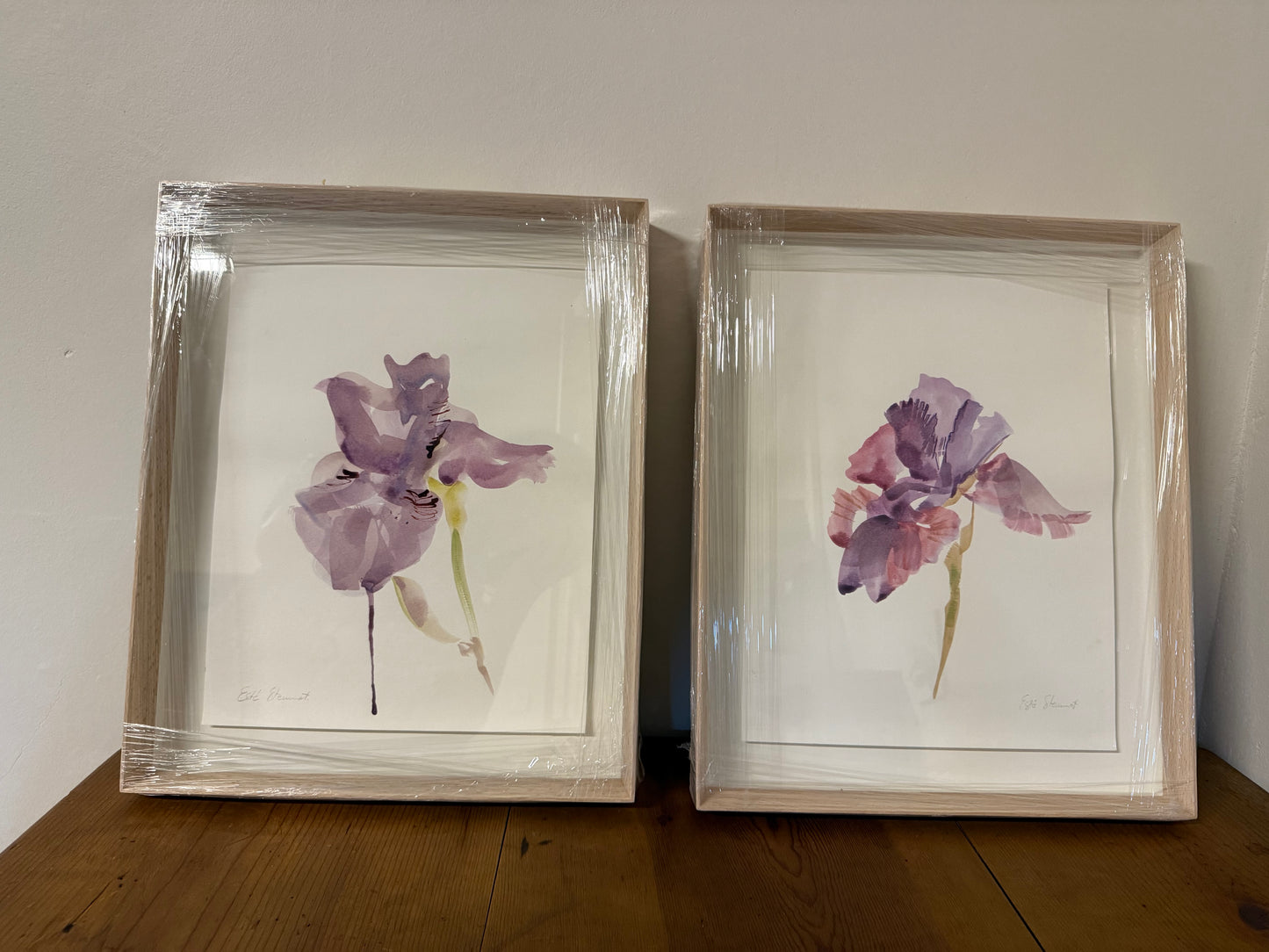 Iris Study I (Framed)