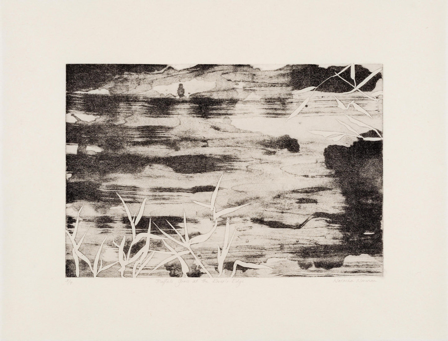 Buffalo Grass at the River’s Edge (framed)