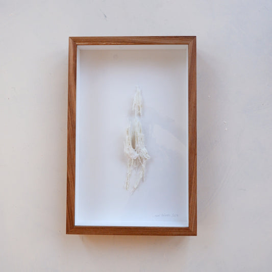 Fynbos artefact (framed)