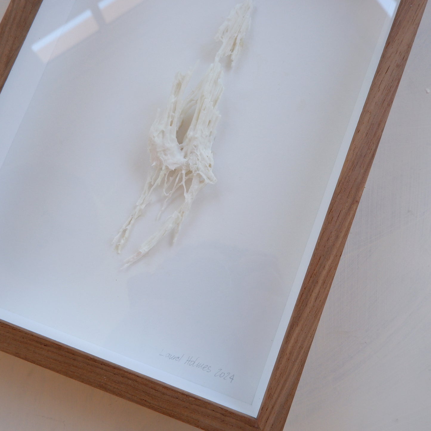 Fynbos artefact (framed)