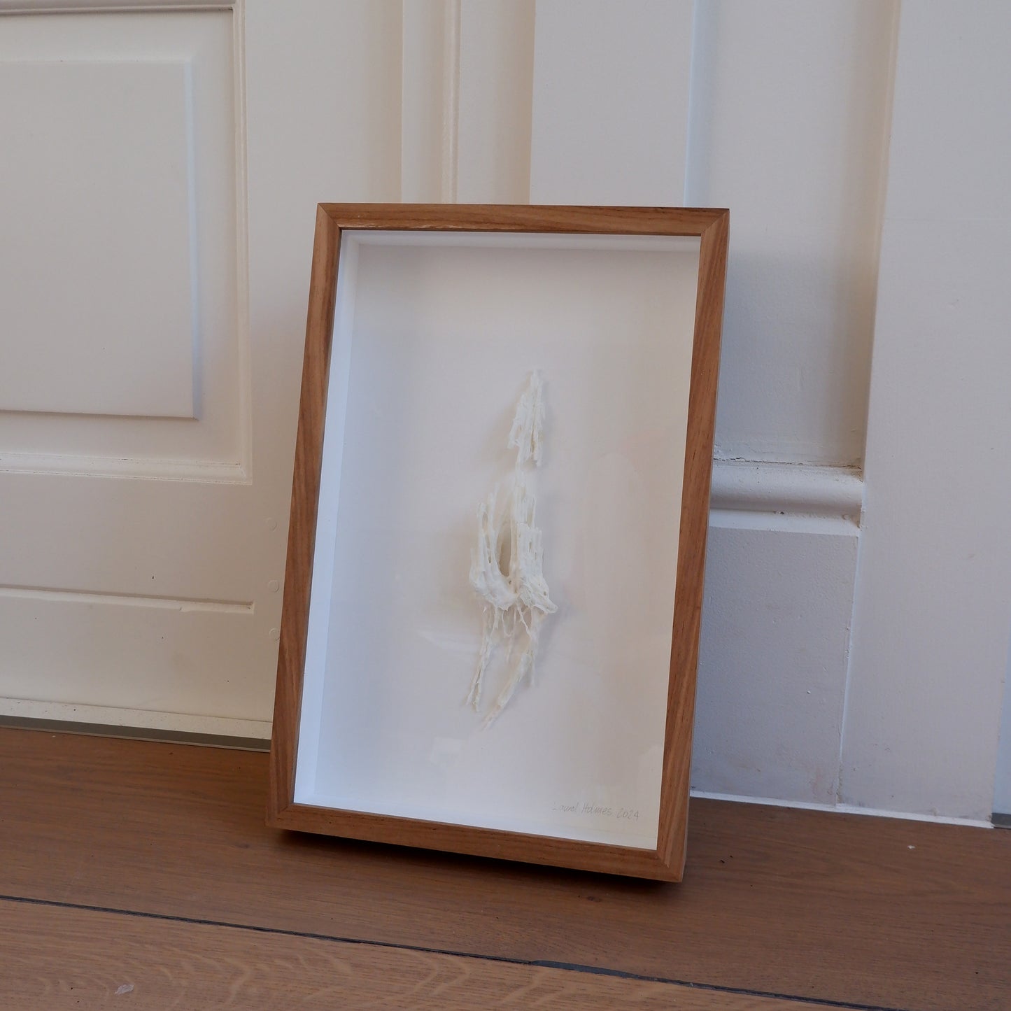 Fynbos artefact (framed)