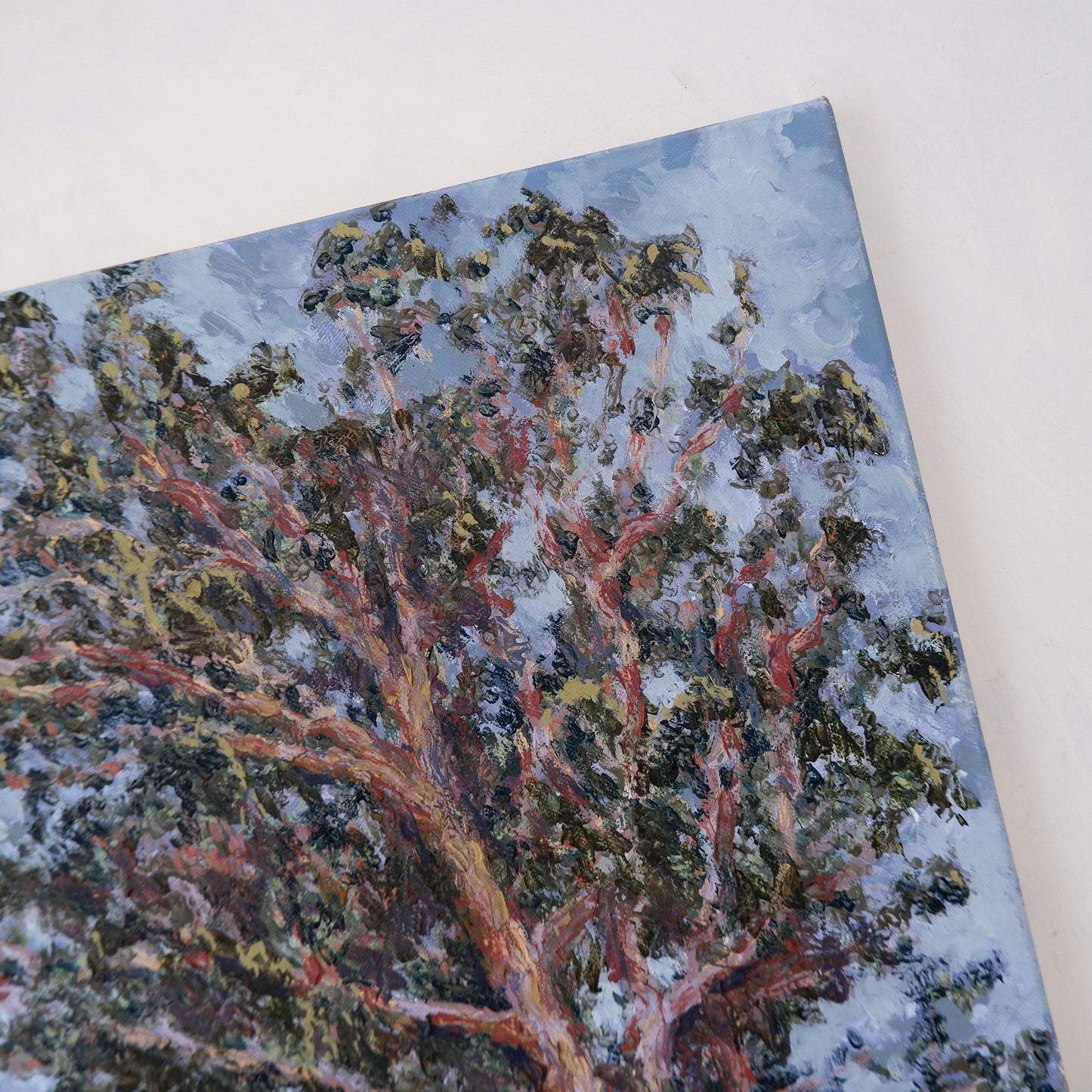 Eucalyptus Study, Windy (Framed)
