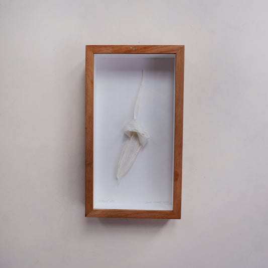 Silenced VIII (framed)
