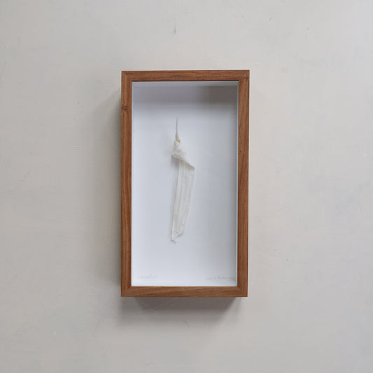 Silenced VI (framed)