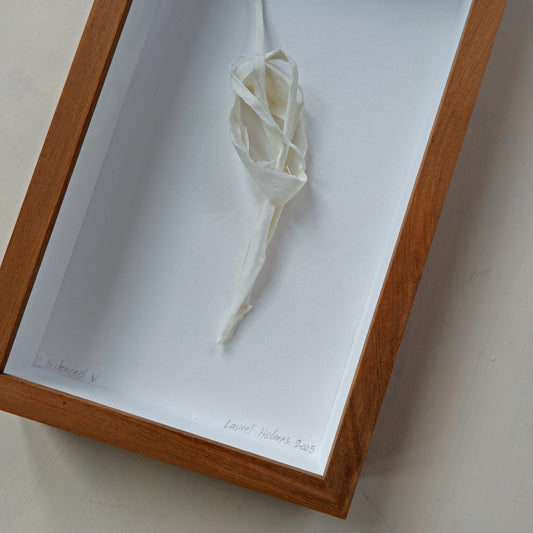 Silenced V (framed)