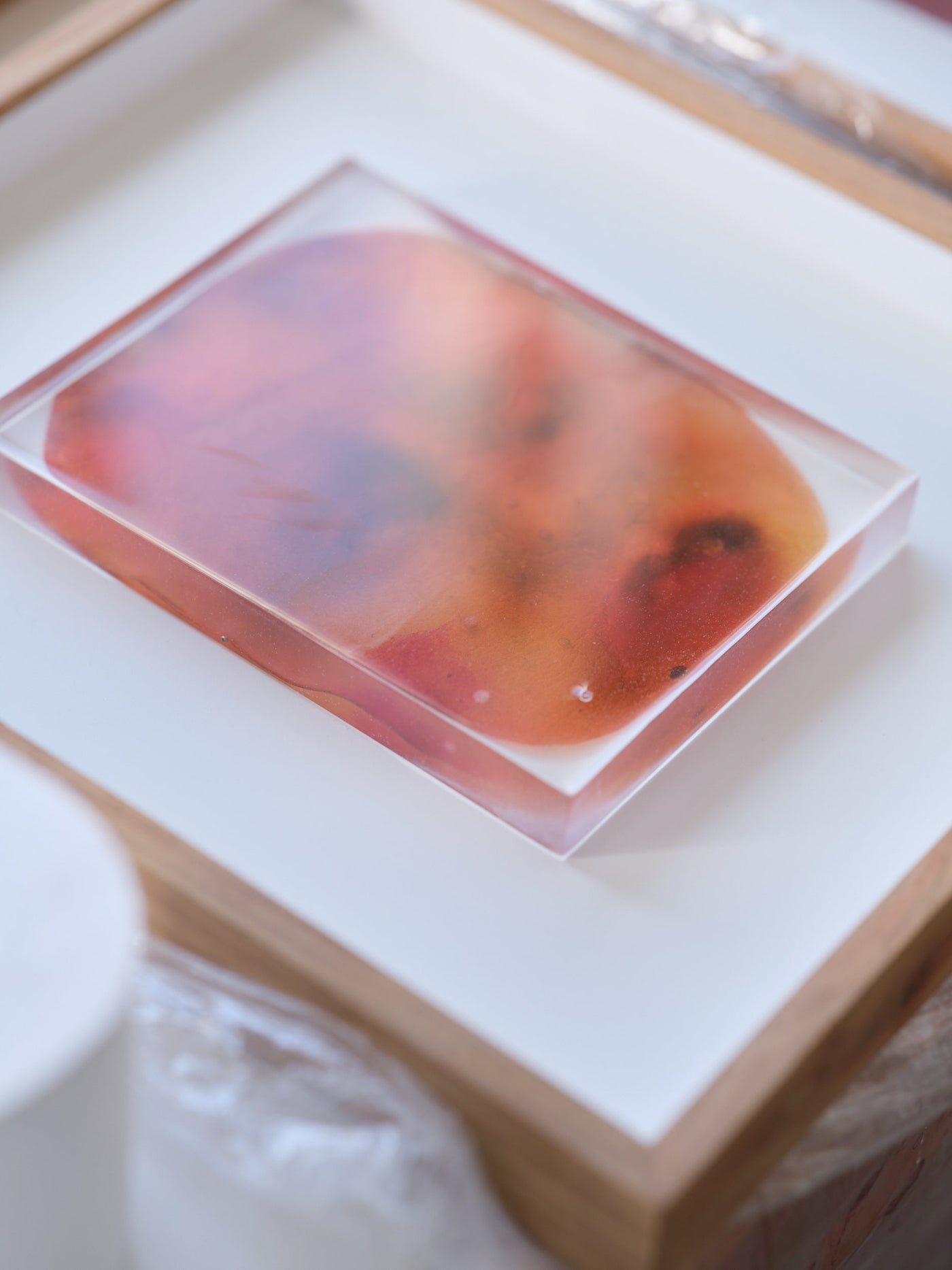 High-Spirited (Framed)