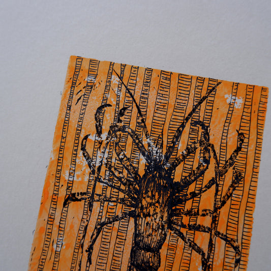 Crayfish, in the kelp (Framed)