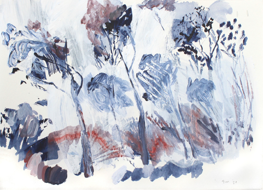 Stone pine Cape/Rome IV (framed)