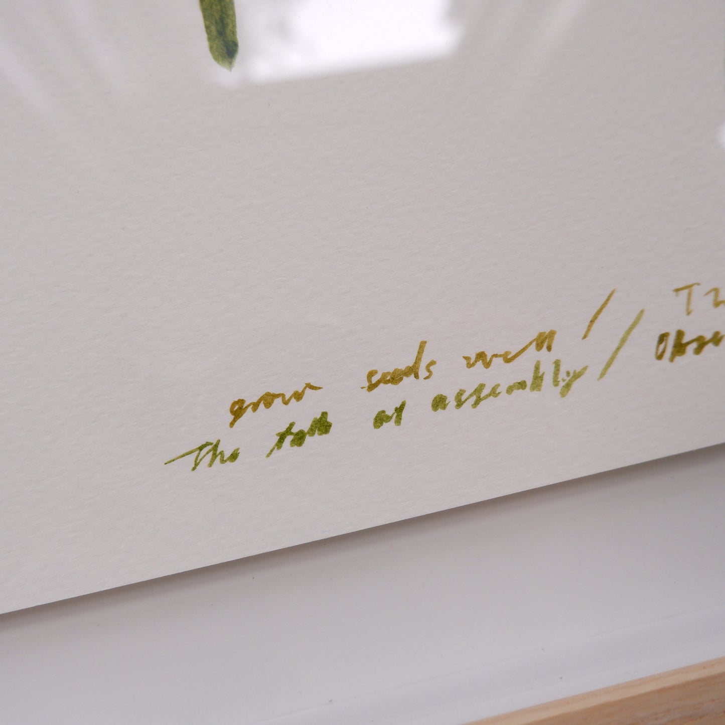 The talk:  Grow seeds well / How do you make bread (framed)