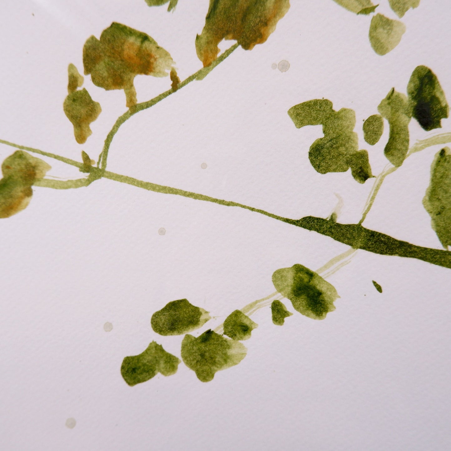 The talk:  Grow seeds well / How do you make bread (framed)