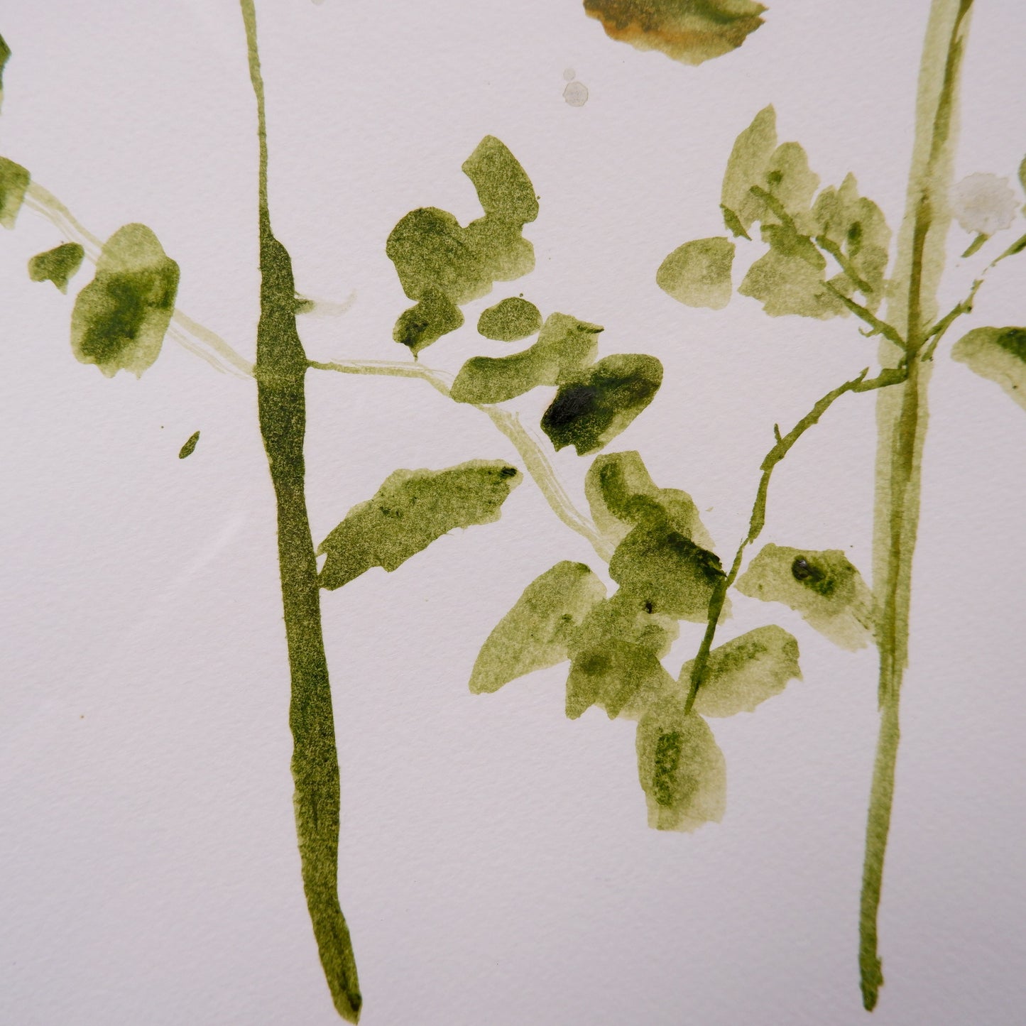 The talk:  Grow seeds well / How do you make bread (framed)