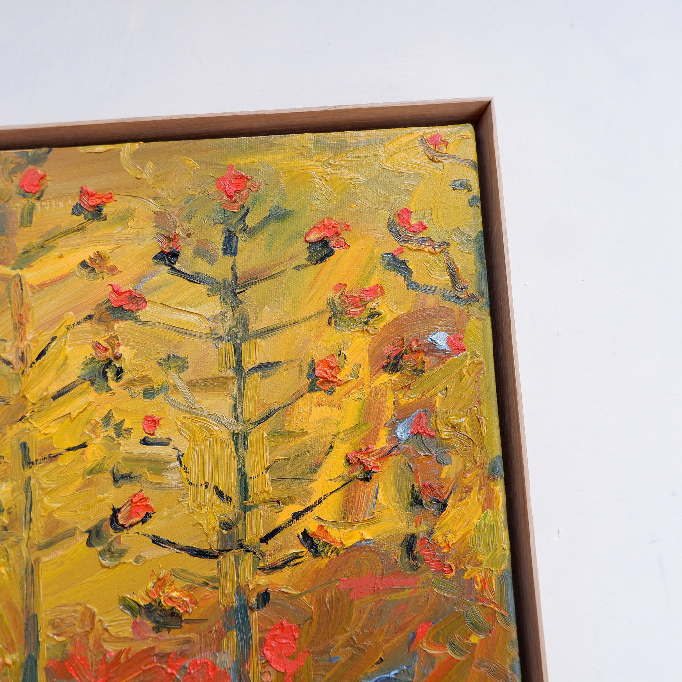 Agave Flame (framed)