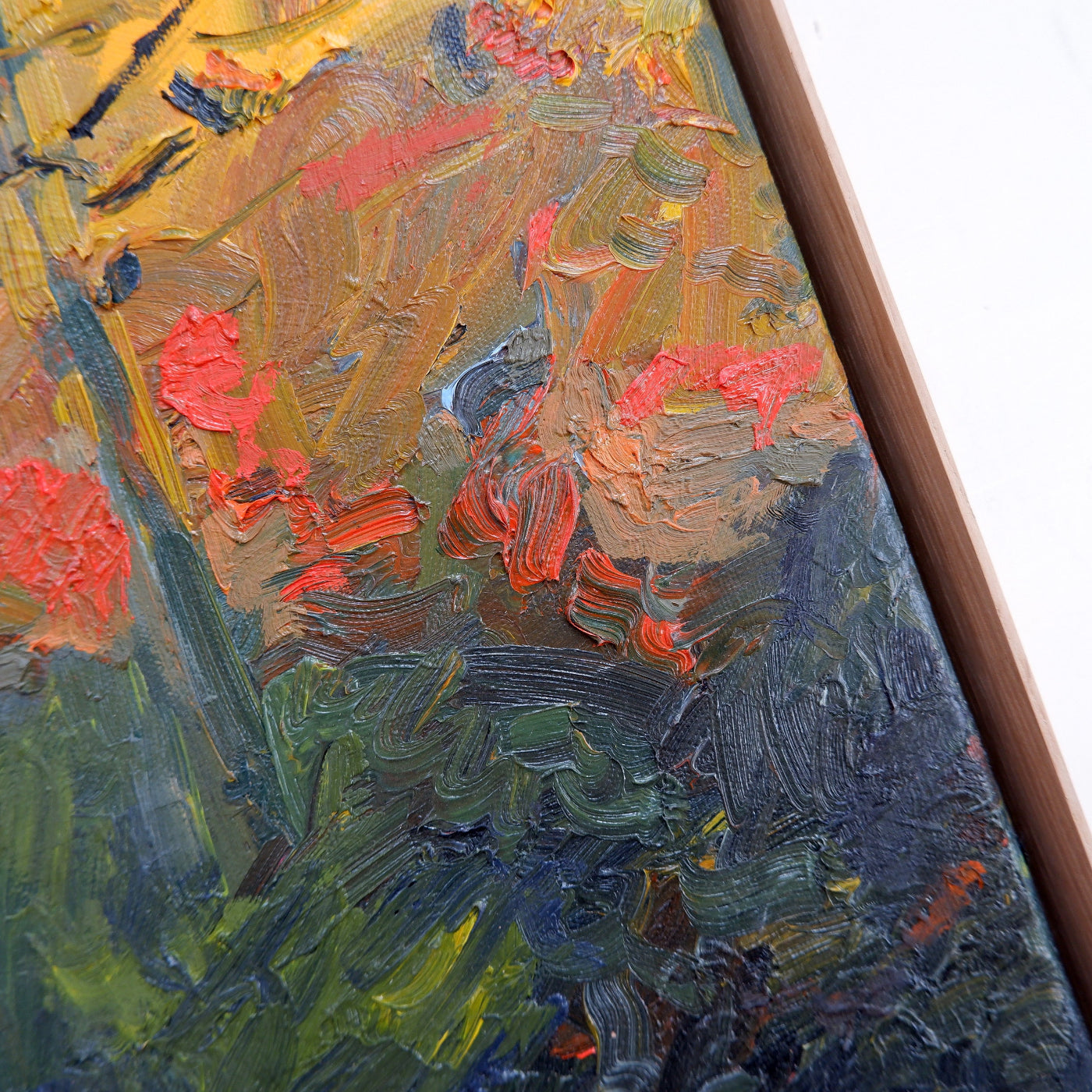 Agave Flame (framed)