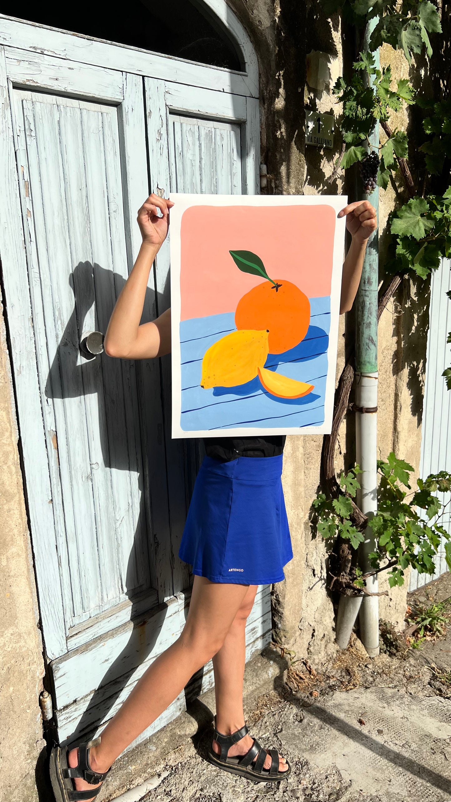 Sun Fruits: Fine art print (Framed)