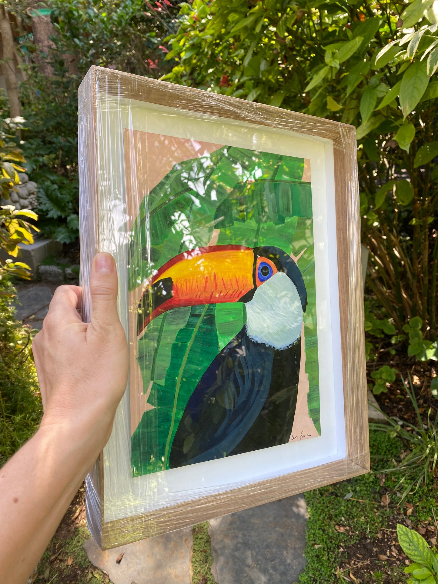 Toucan (Framed)