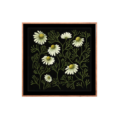 Chamomile forest: Fine art print (framed)