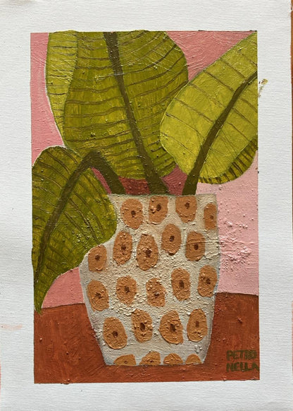 Natural Textures (Framed)