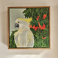 Raspberry Oranges Cockatoo (framed)