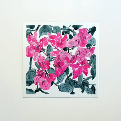 Bougainvillea Garden