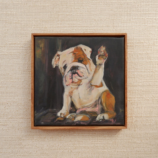 Bulldog (framed)