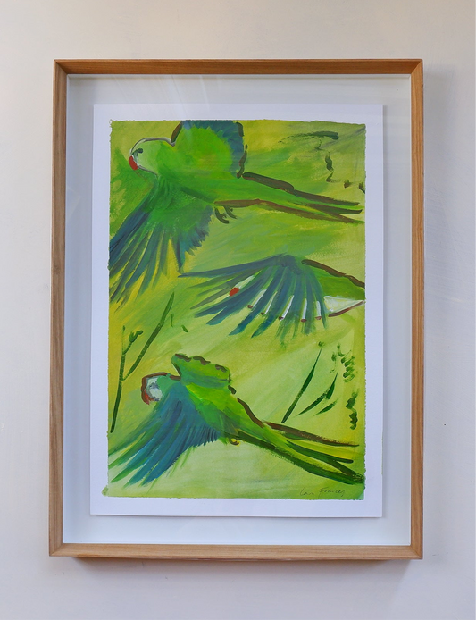 Parrots in Flight (framed)