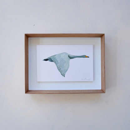Favicon Swan (framed)