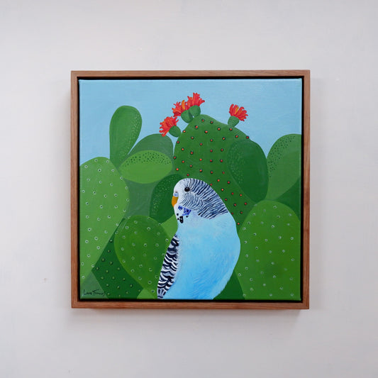 Flowering budgie  (framed)