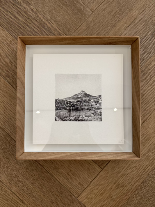 Lion's Head (framed)