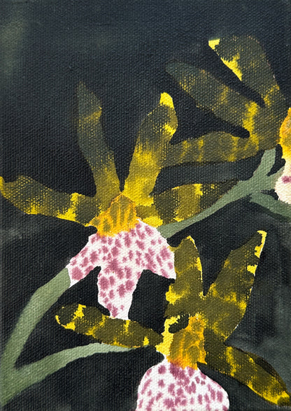 Let's go girls (framed)