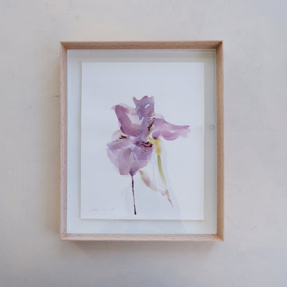 Iris Study I (Framed)