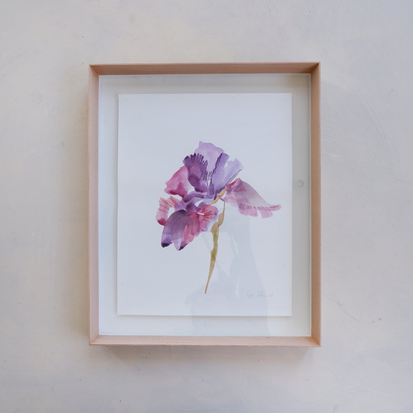 Iris Study II (Framed)