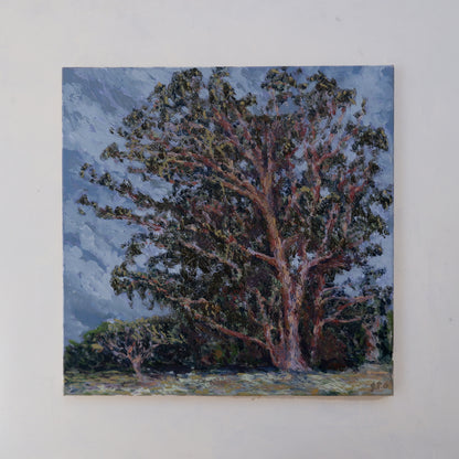 Eucalyptus Study, Windy (Framed)