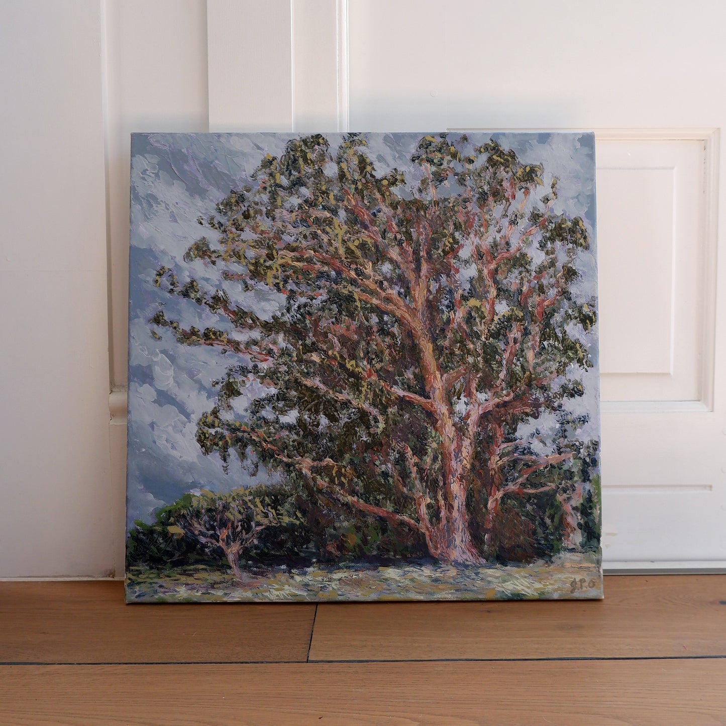 Eucalyptus Study, Windy (Framed)