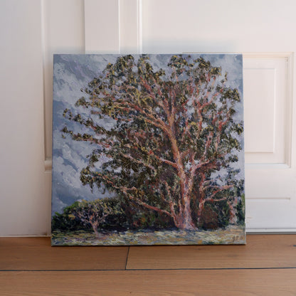 Eucalyptus Study, Windy (Framed)