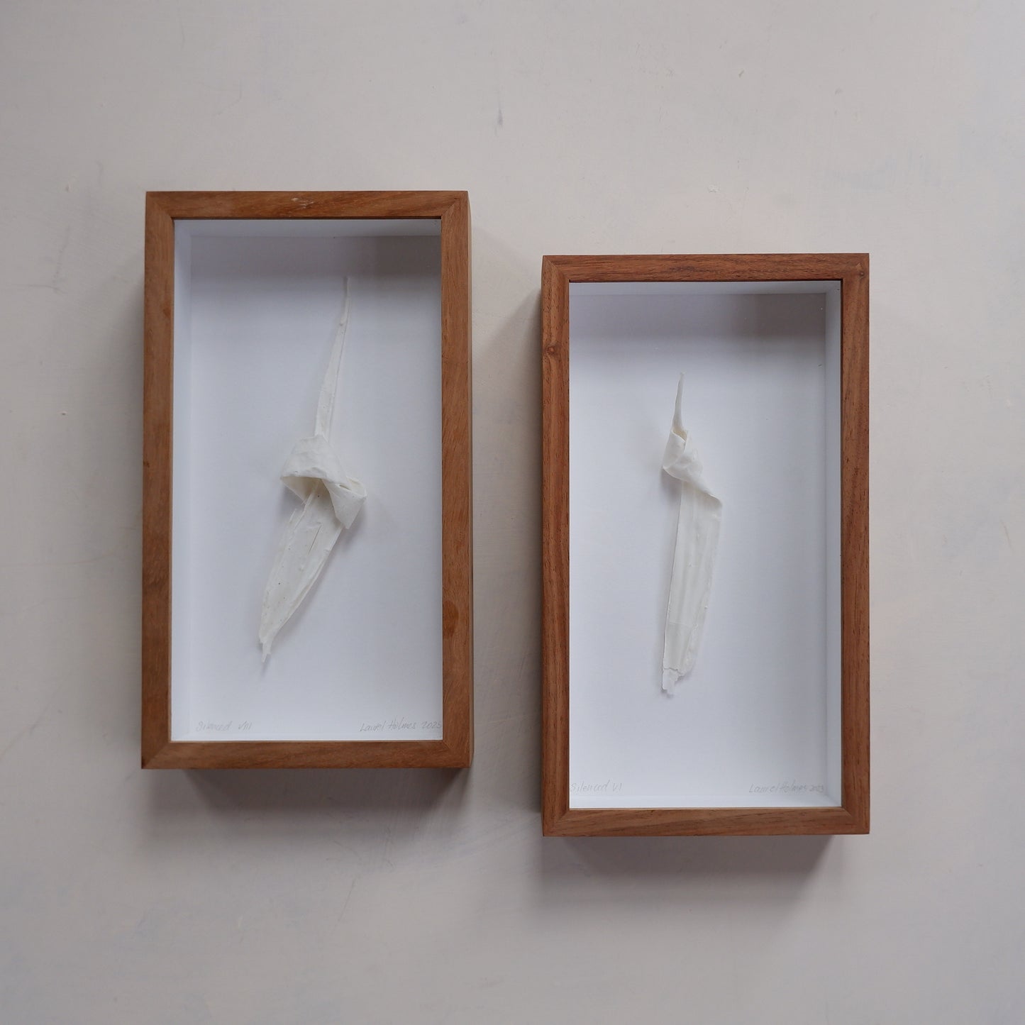 Silenced VIII (framed)