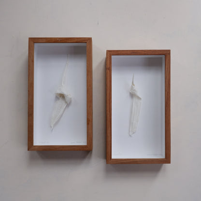 Silenced VIII (framed)