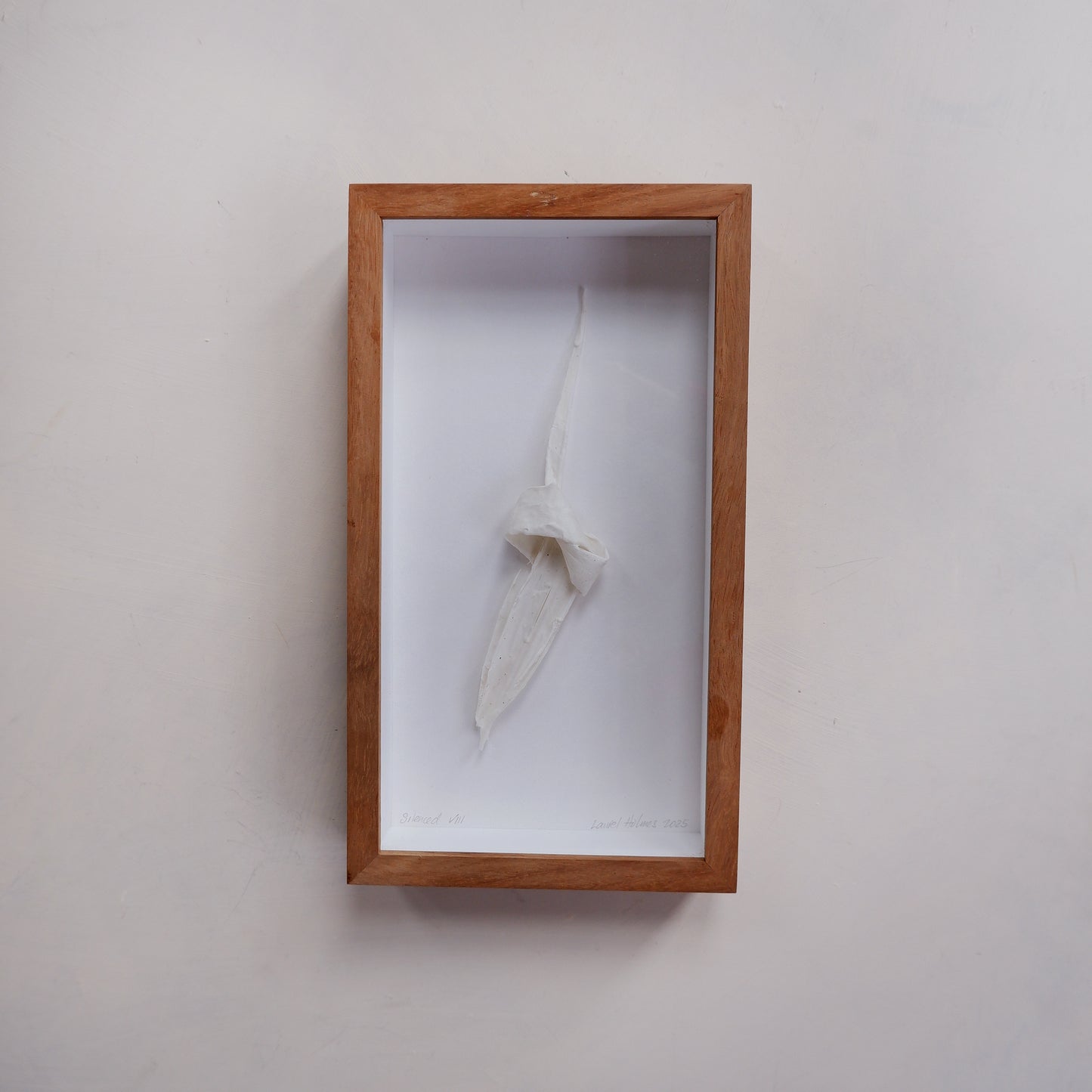 Silenced VIII (framed)