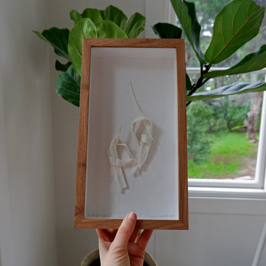 Silenced VII (framed)