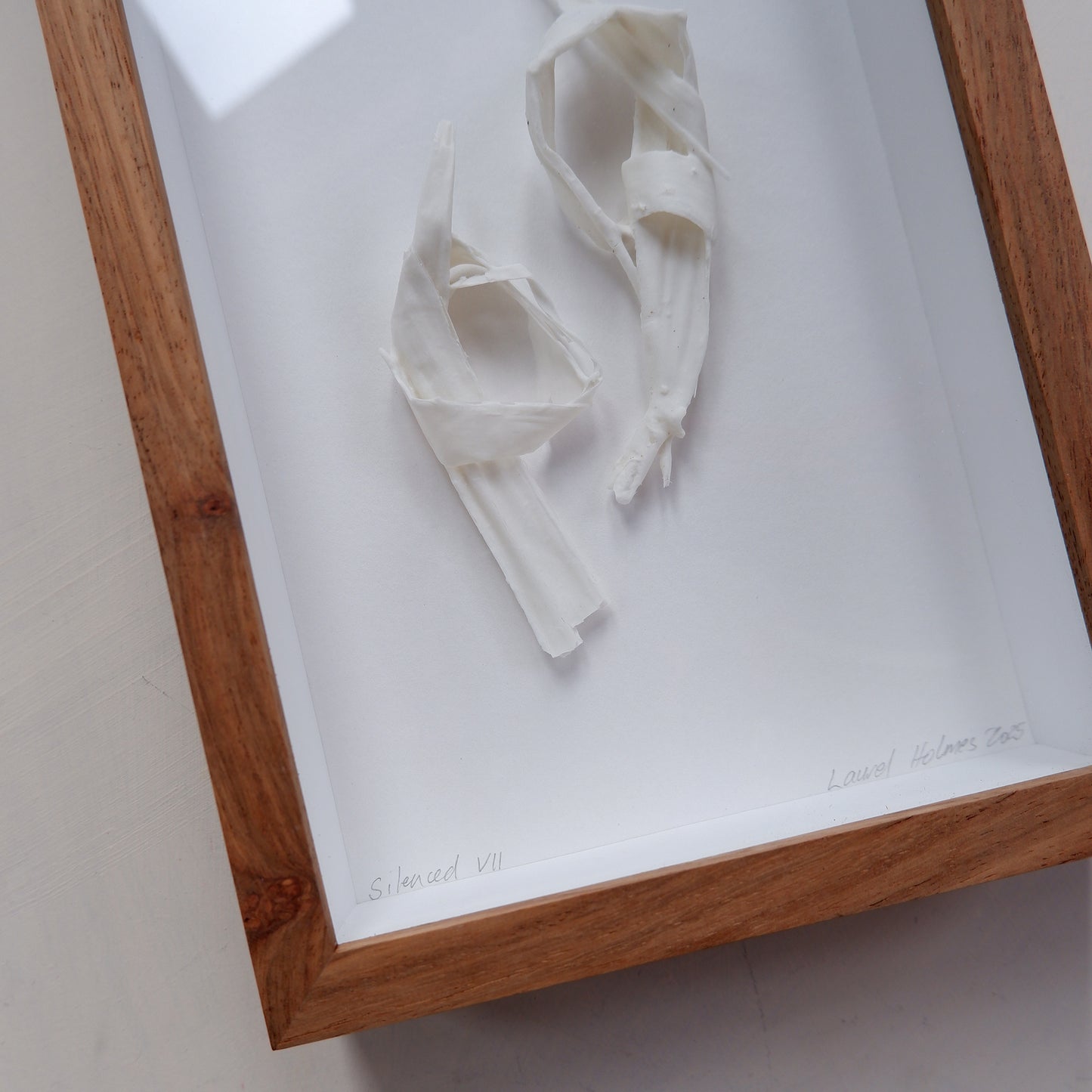 Silenced VII (framed)
