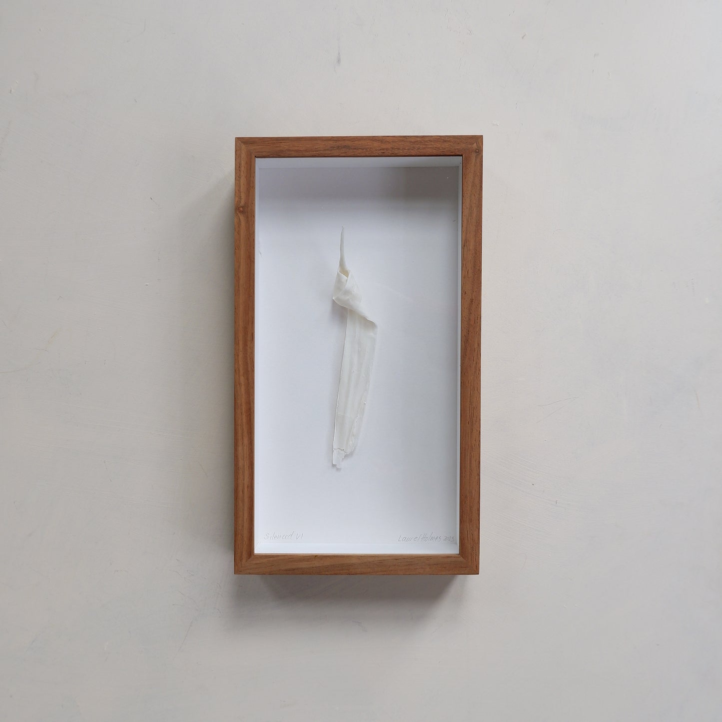 Silenced VI (framed)