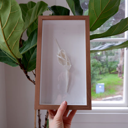 Silenced V (framed)
