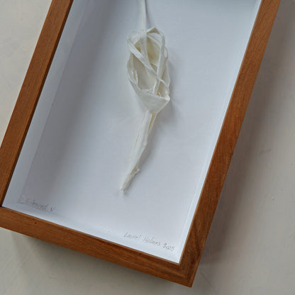 Silenced V (framed)