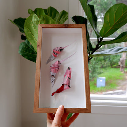 Suspended II (framed)