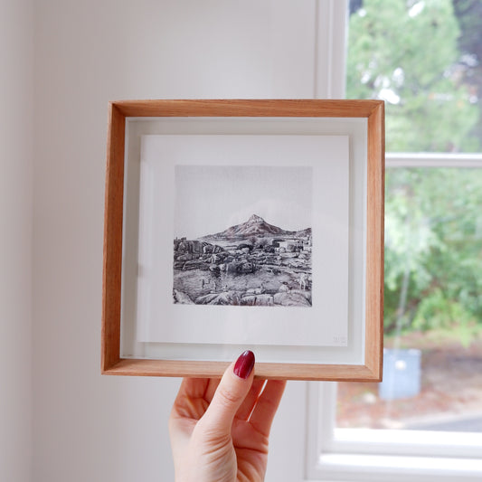 Lion's Head (framed)