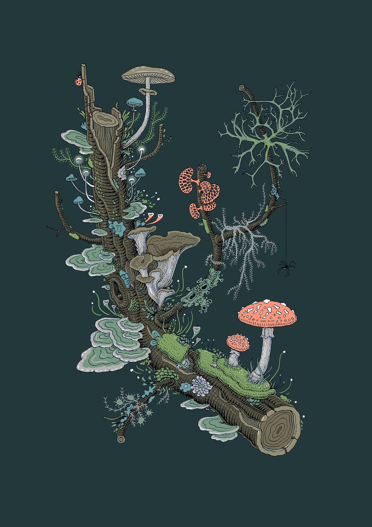 Lichen Source Bioluminescent Log of Lichen – Source Artistry