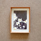 New York City Flowers I (framed)