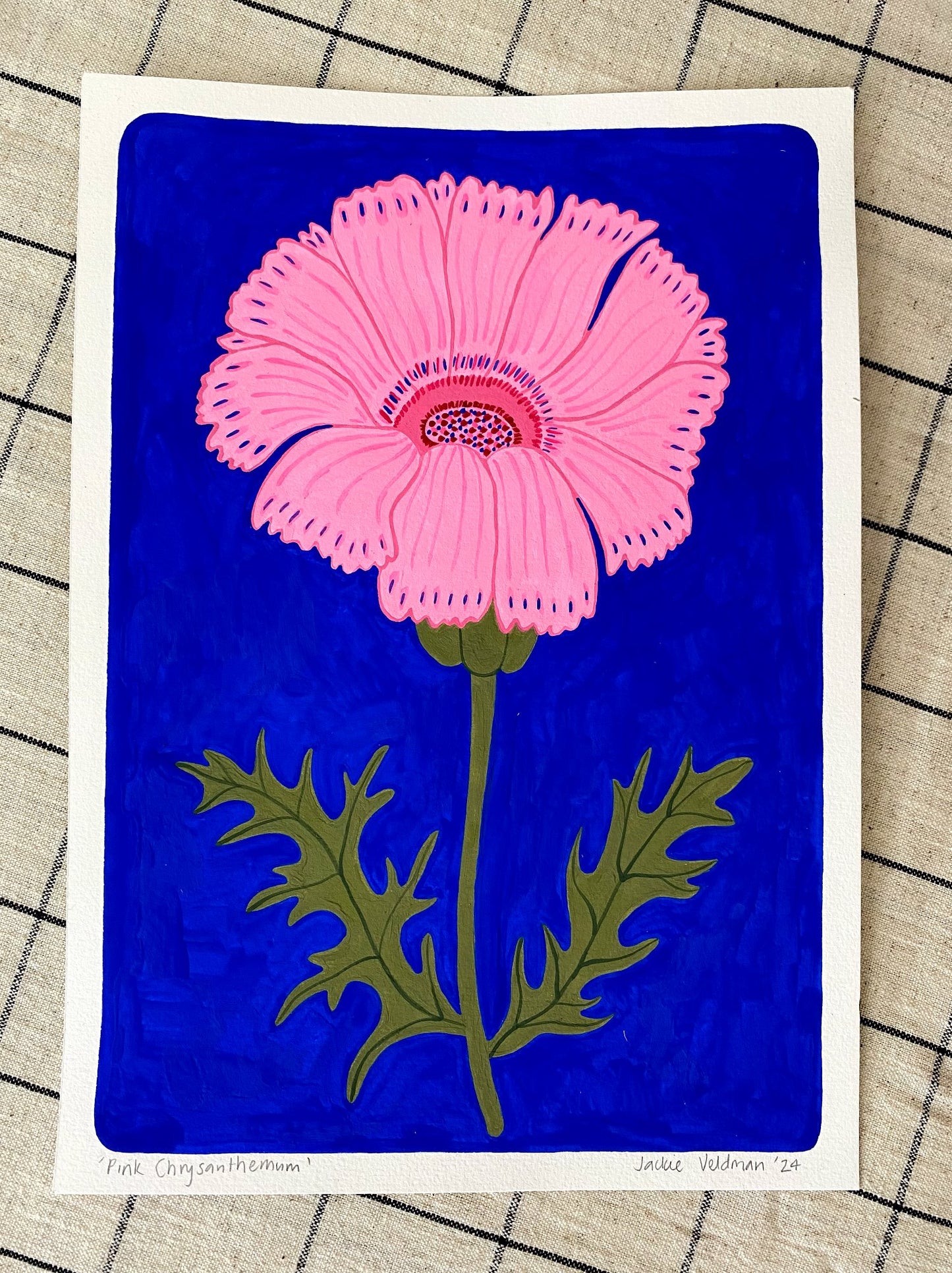 Pink Chrysanthemum (framed)