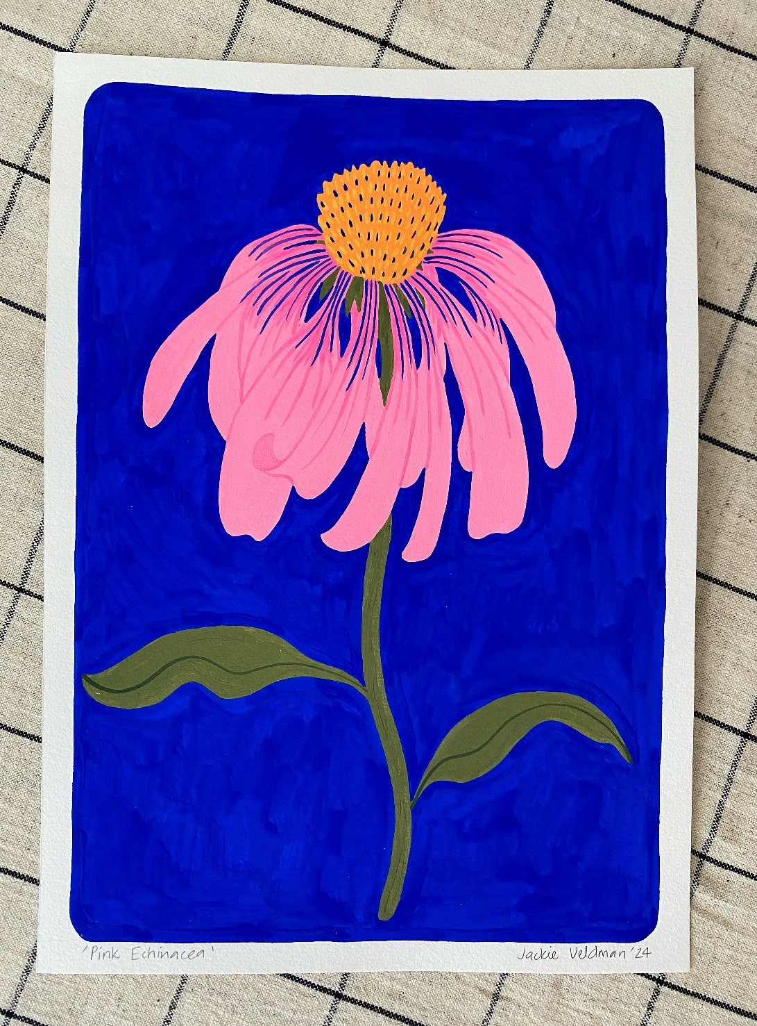 Pink Echinacea (framed)