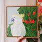 Raspberry Oranges Cockatoo (framed)